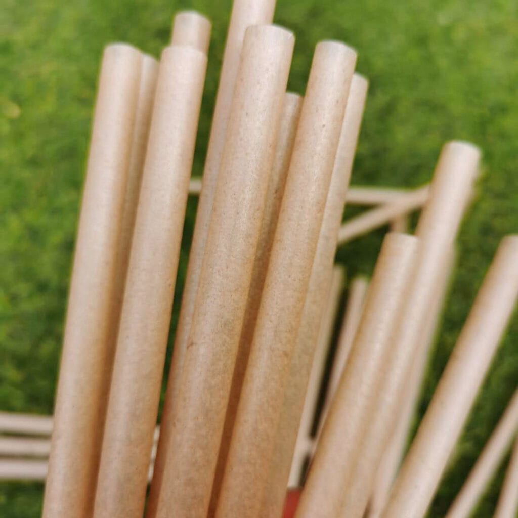 Sugarcane Straws PLA Free