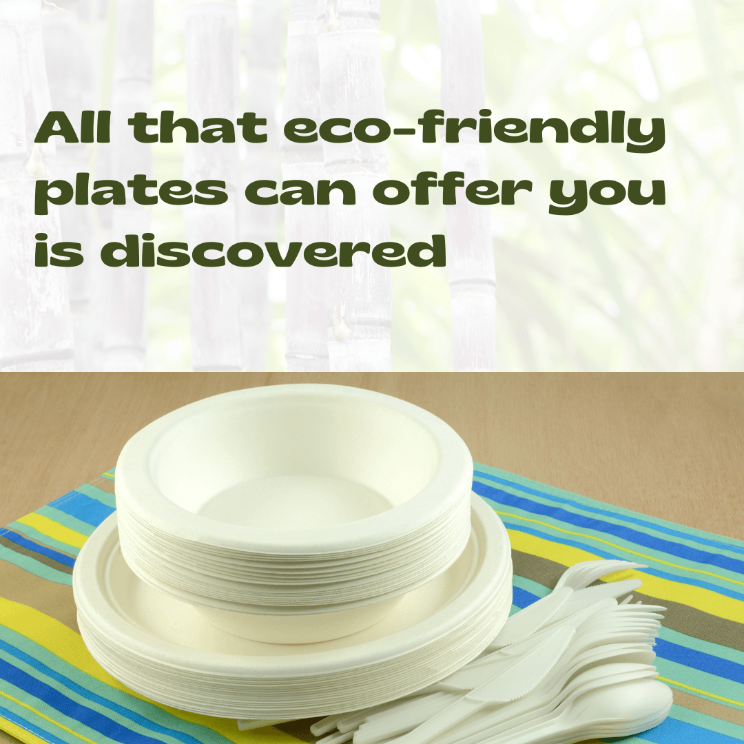 All That Eco Friendly Plates Can Offer You Is Discovered Eco Friendly Straws For A Sustainable