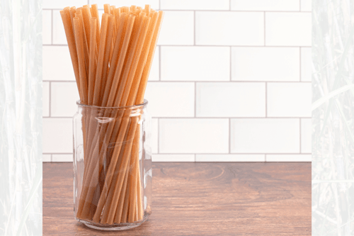 Sugarcane straws wholesale eco-friendly