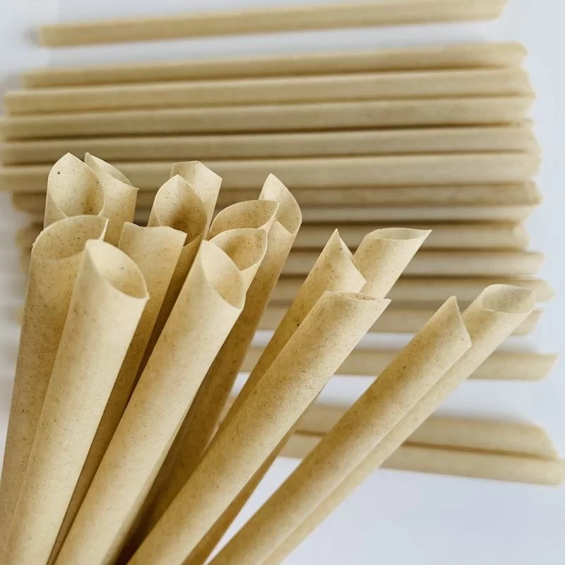 sugarcane straws 1 (15)