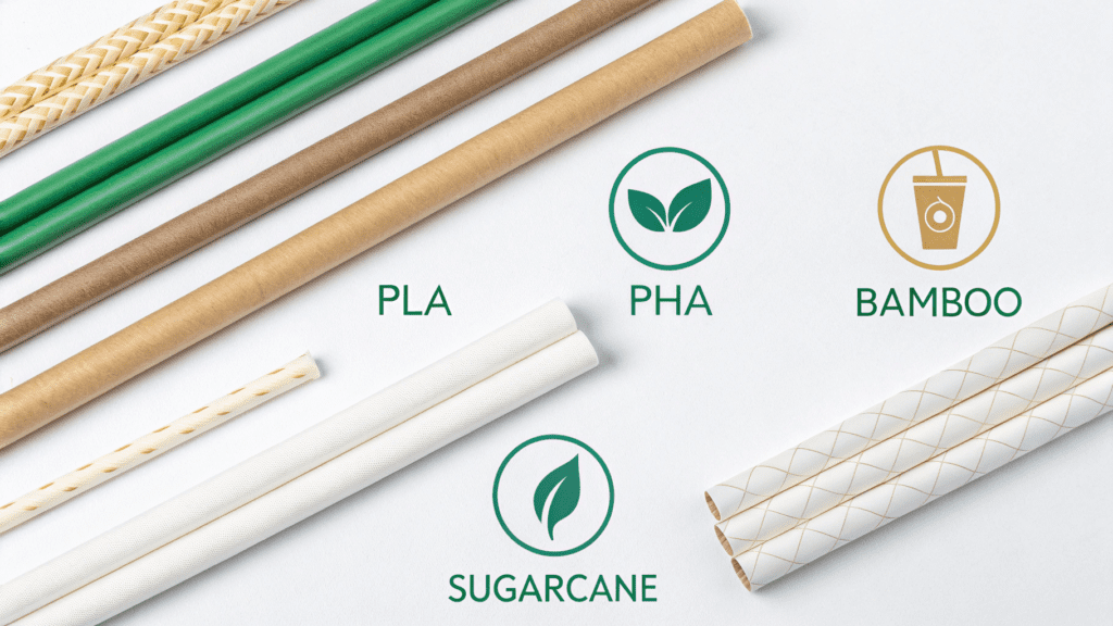 The Evolution of Eco-Friendly Drinking Solutions