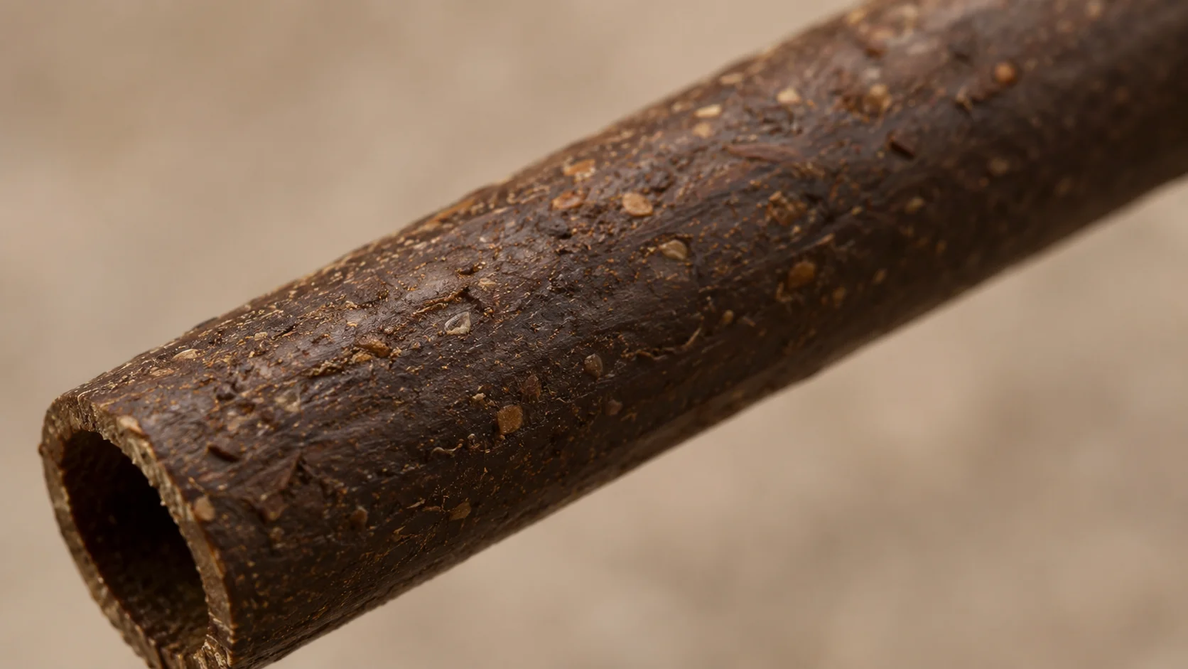 Coffee ground straws in bulk cardboard packaging for wholesale supply