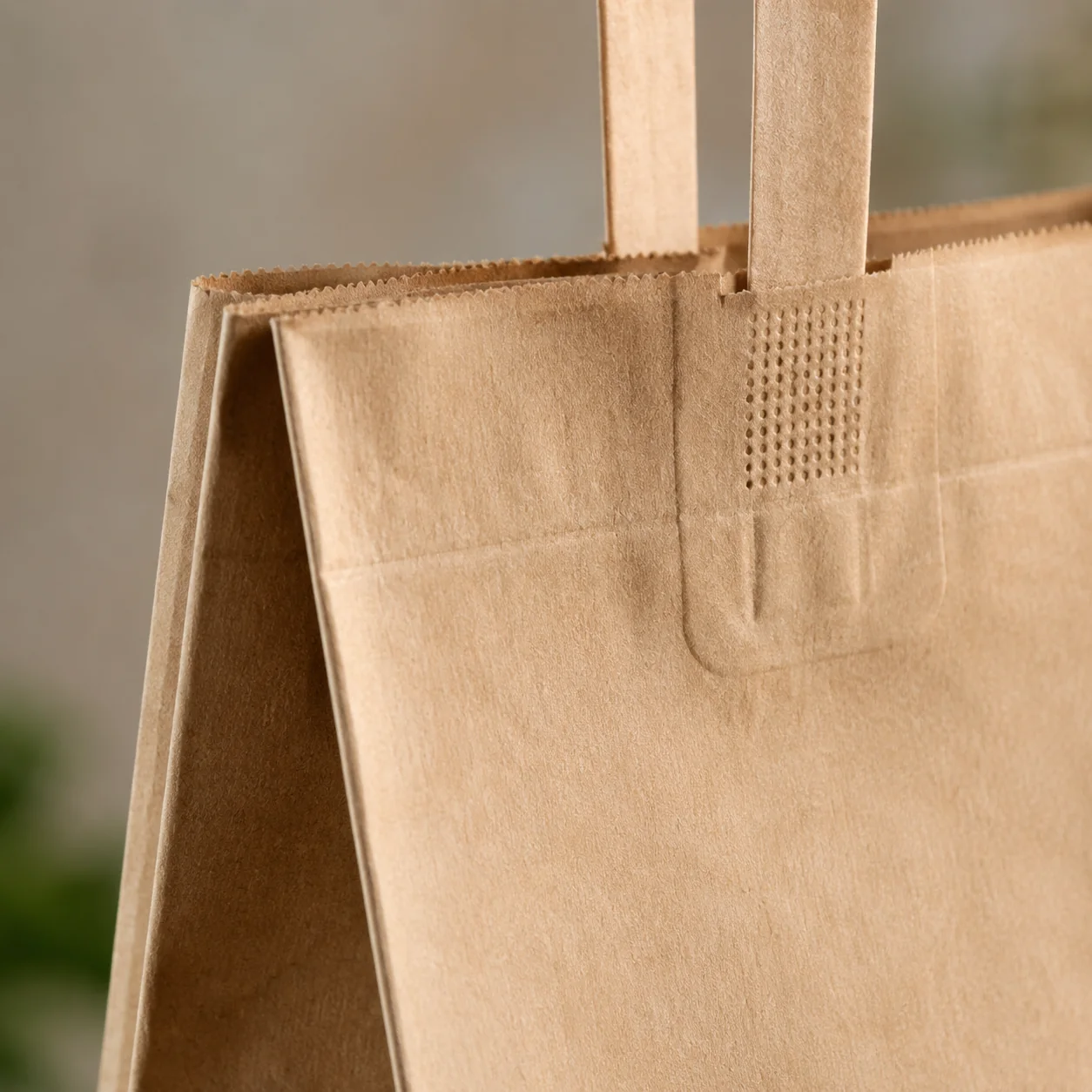 Compostable foodservice and retail bags — paper bag detail