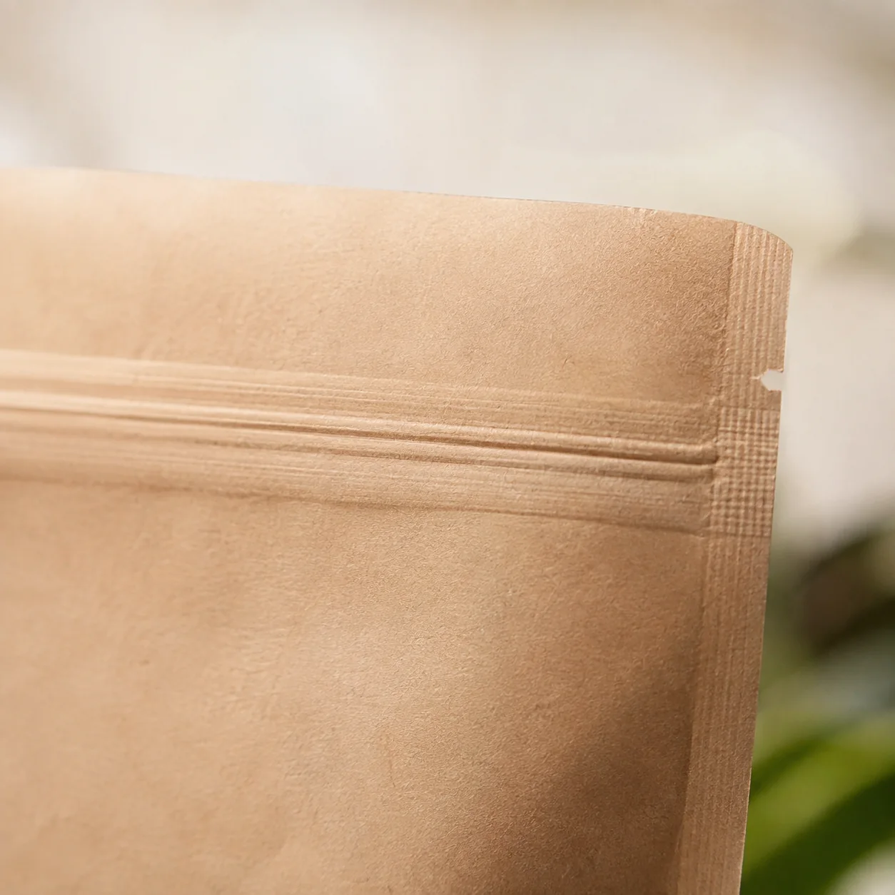 Compostable foodservice and retail bags — paper pouch detail