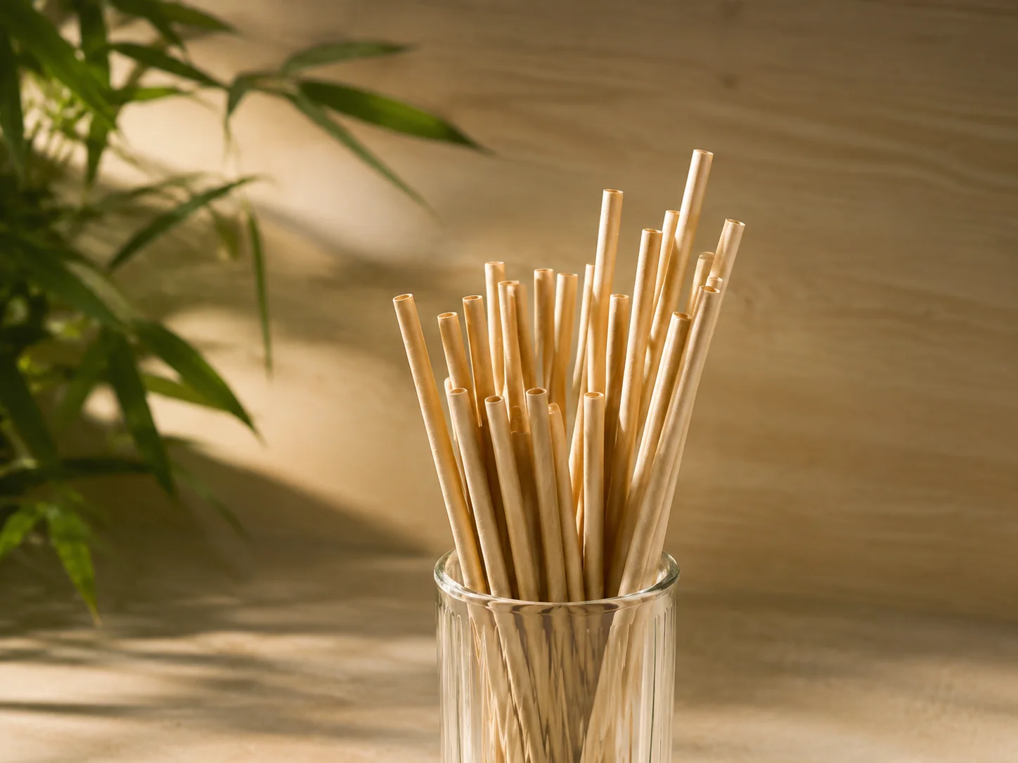 Compostable drinking straws for foodservice — straw and clamshell