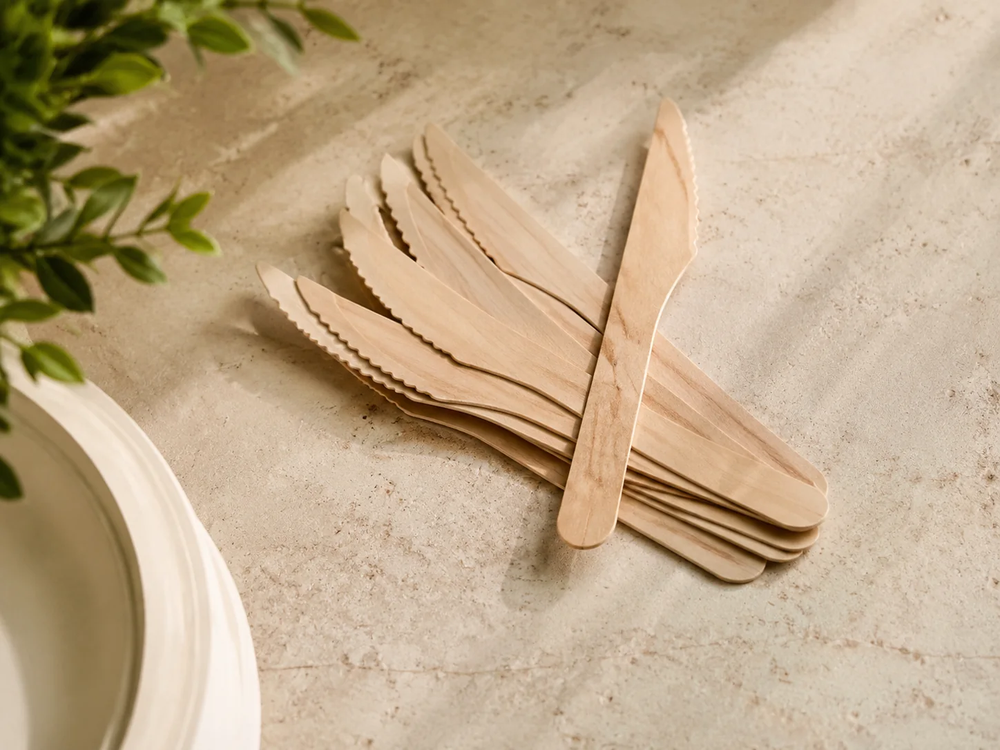 Compostable tableware and cutlery for foodservice — wood cutlery flat lay