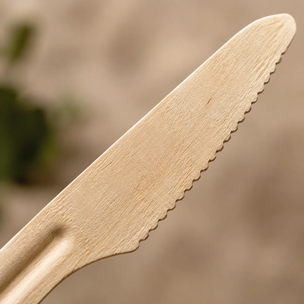 Compostable tableware and cutlery for foodservice — wood knife detail