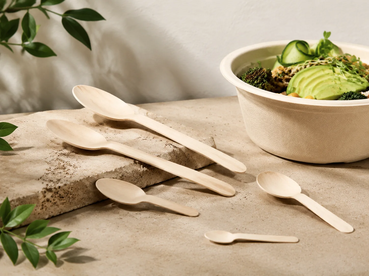 Compostable tableware and cutlery for foodservice — wood cutlery meal service