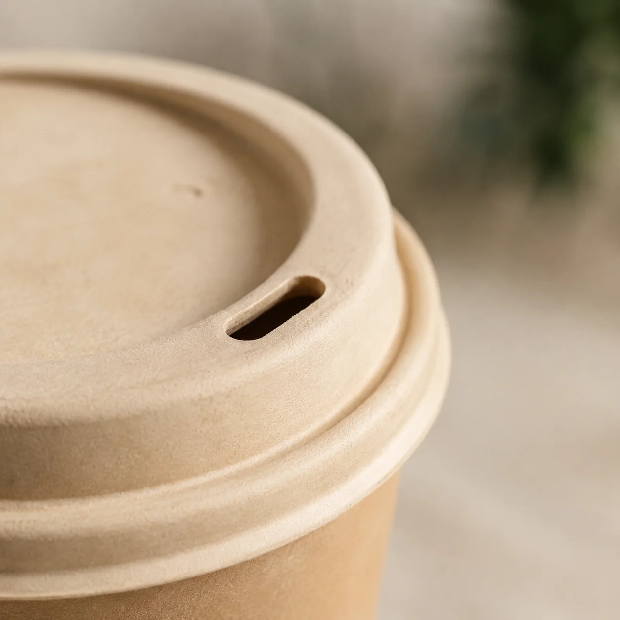 Compostable paper cups and lid options — lid selection