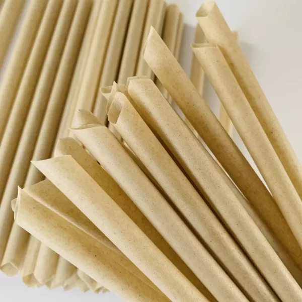 sugarcane straws 1 (13)