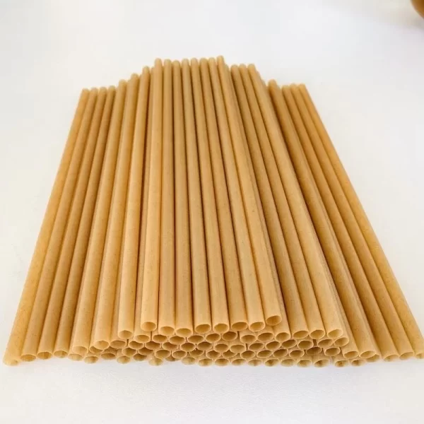 sugarcane straws 1 (2)
