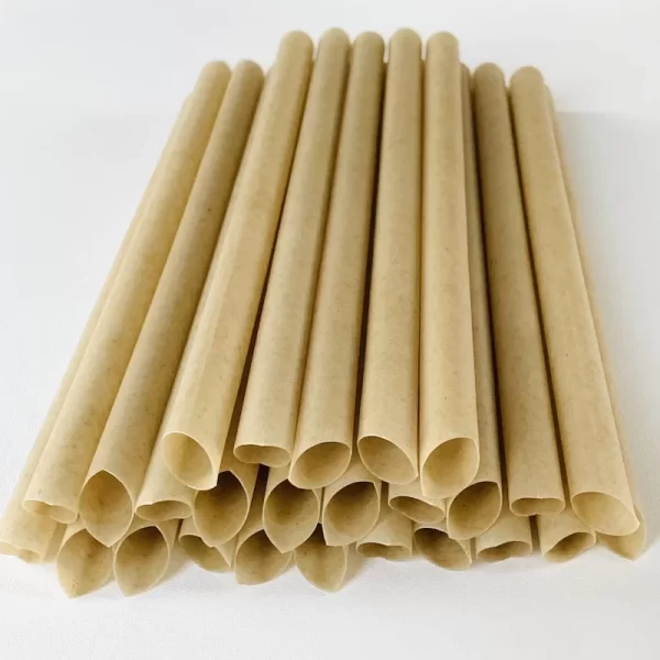 sugarcane straws 1 (3)